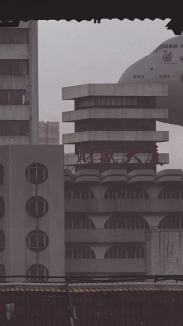 10008.gif