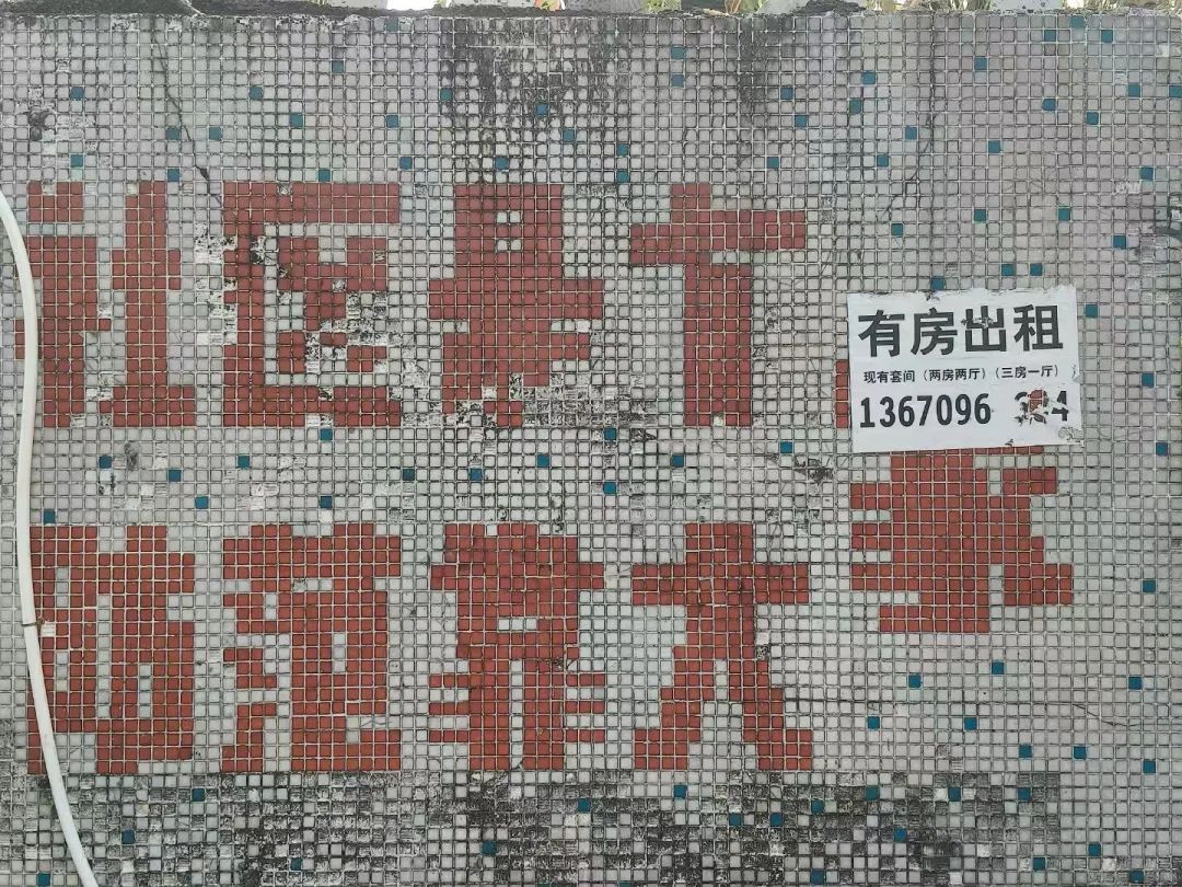 1756368549175051370.jpeg 1756368549175051370.jpeg