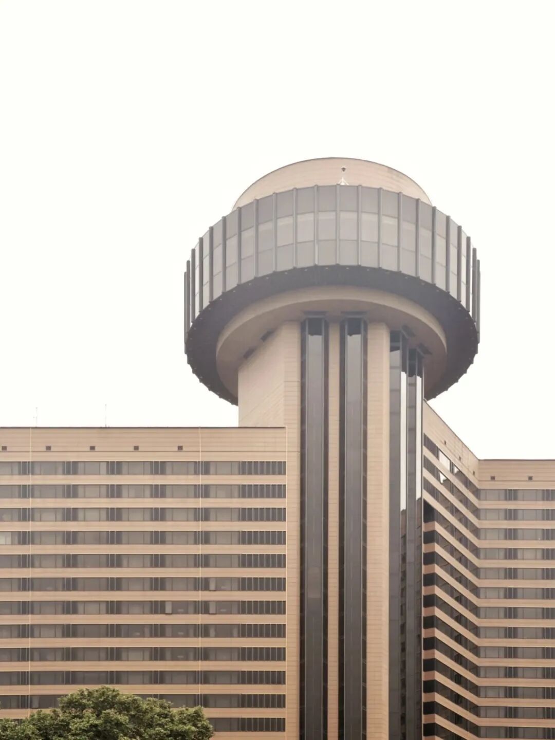 1756368931496083701.jpeg 1756368931496083701.jpeg