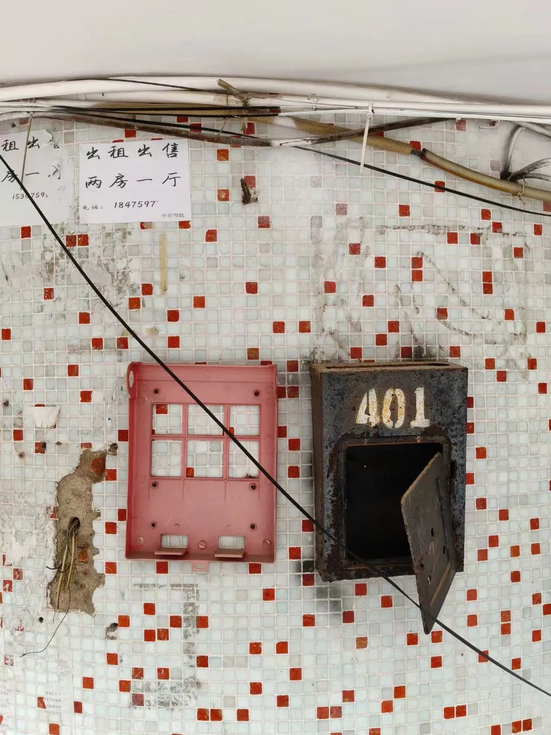 1756369180278036645.jpeg 1756369180278036645.jpeg