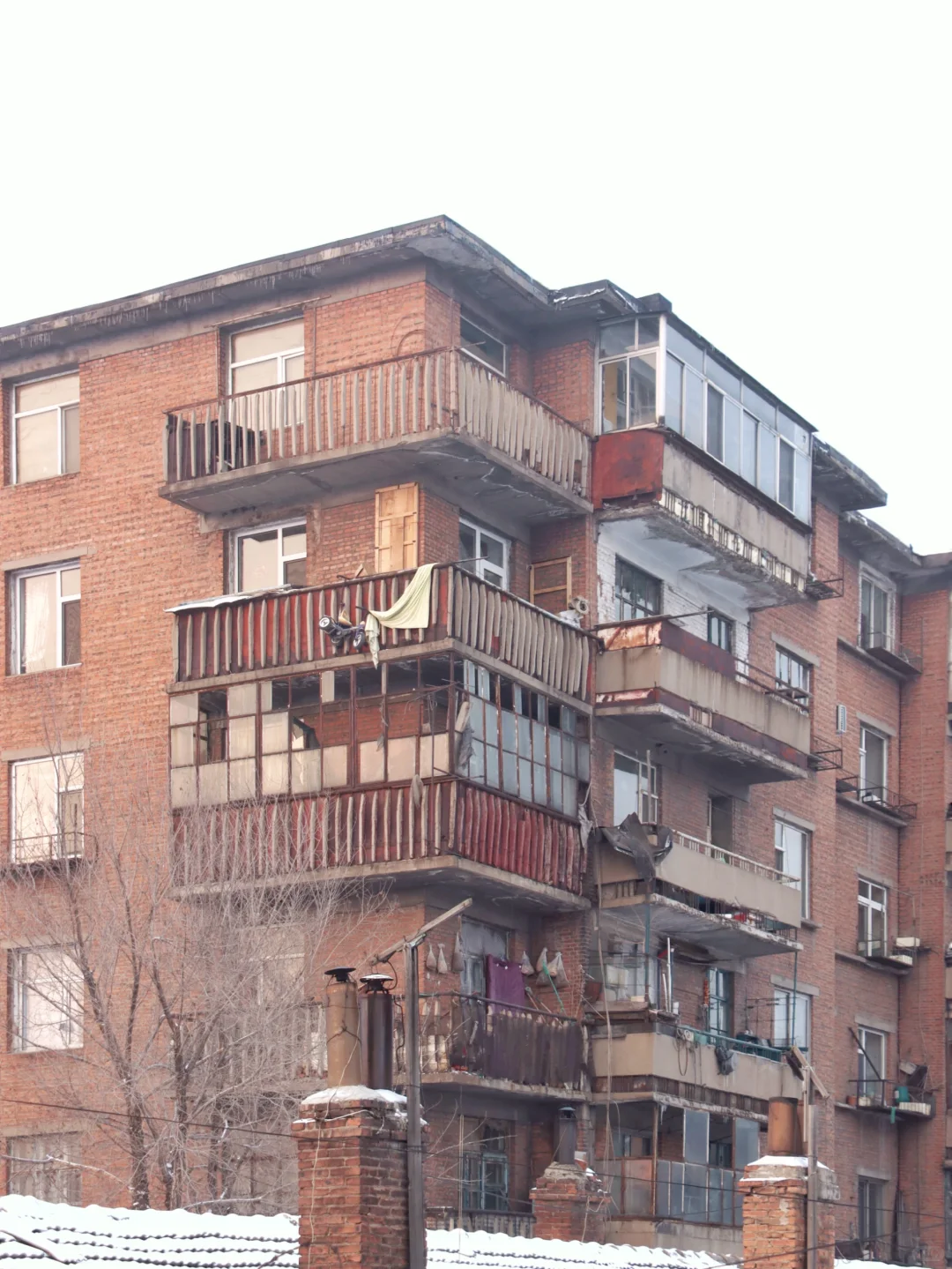 1756369235628091319.png 10040.png