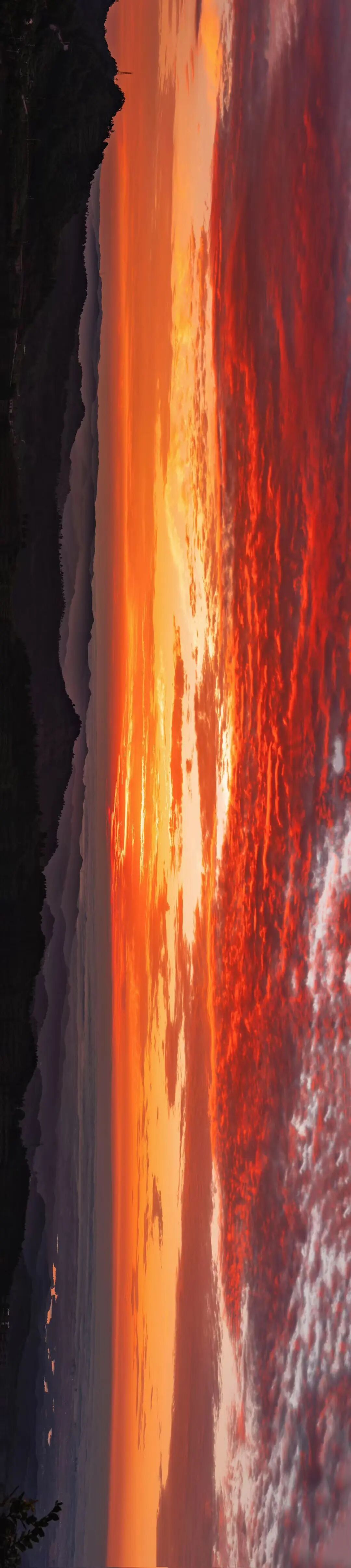 1758788365376048235.jpeg 1758788365376048235.jpeg