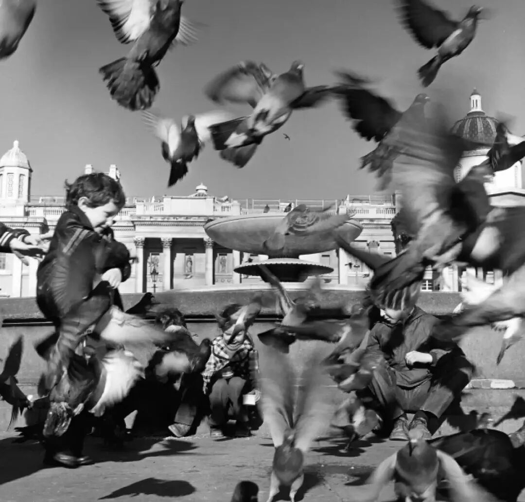 1761301289325008497.jpeg 1761301289325008497.jpeg