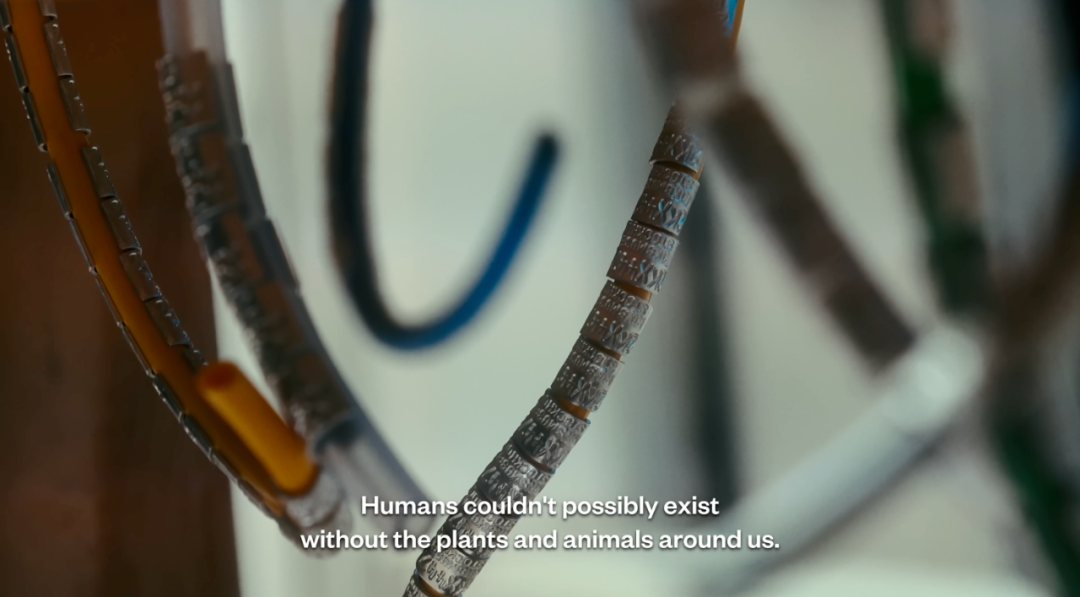 1761724089511061037.png 1761724089511061037.png