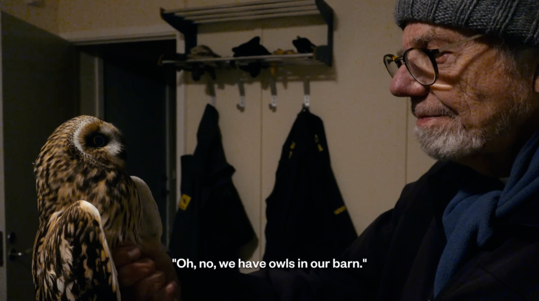 1761724207404087576.png 1761724207404087576.png