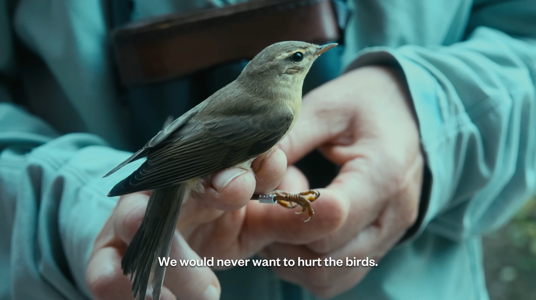 1761724227877098343.png 1761724227877098343.png