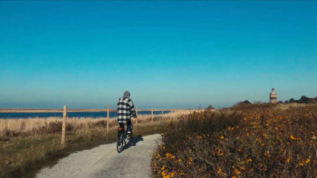 1761724391978095580.jpg 1761724391978095580.jpg