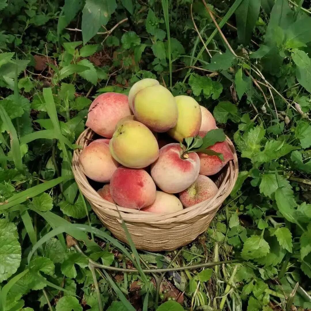 1762256455423058117.jpeg 1762256455423058117.jpeg