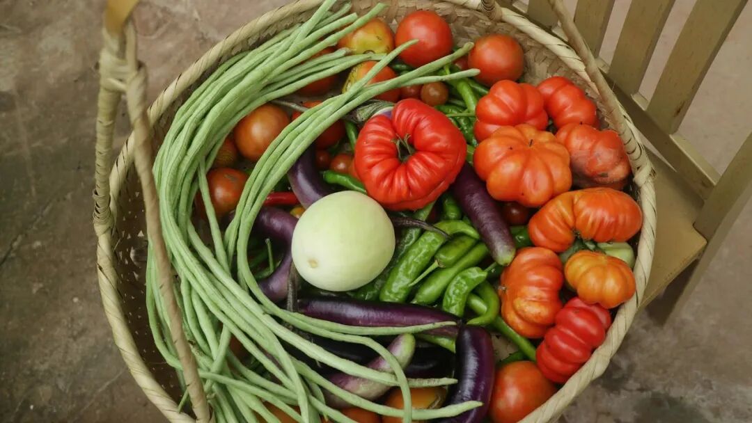 1762256491740044356.jpeg 1762256491740044356.jpeg