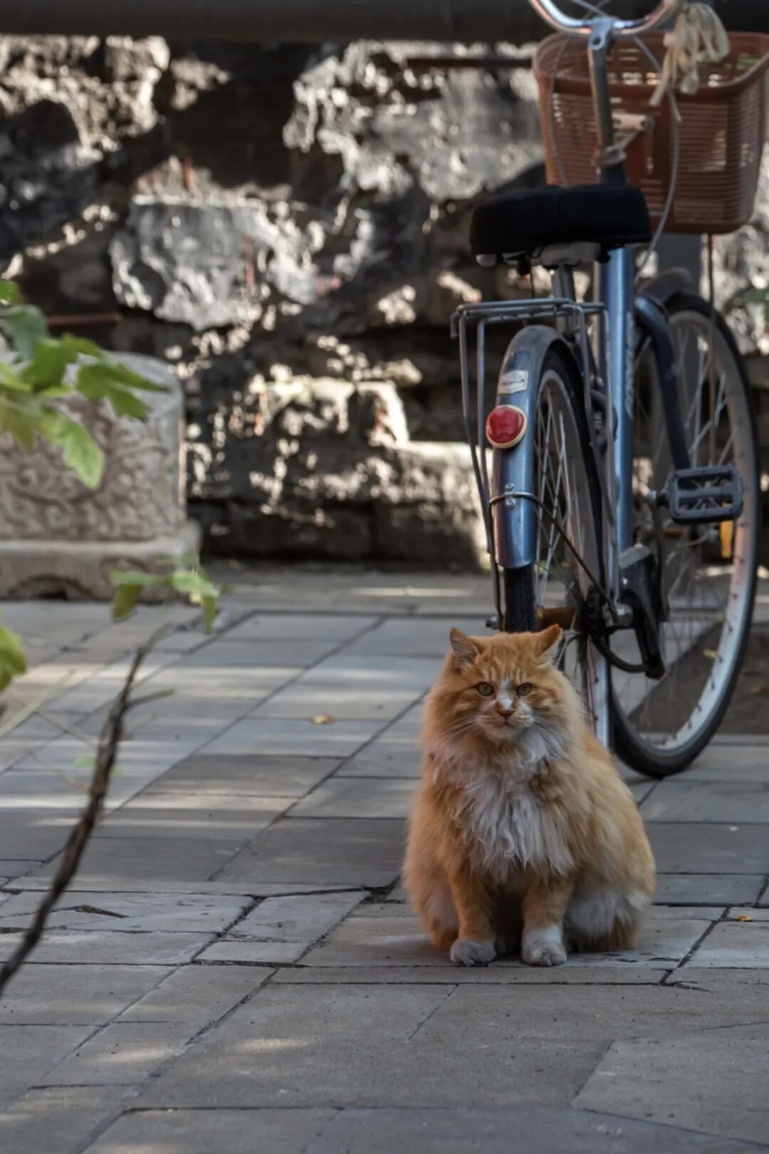 1764660770000081063.jpeg 1764660770000081063.jpeg