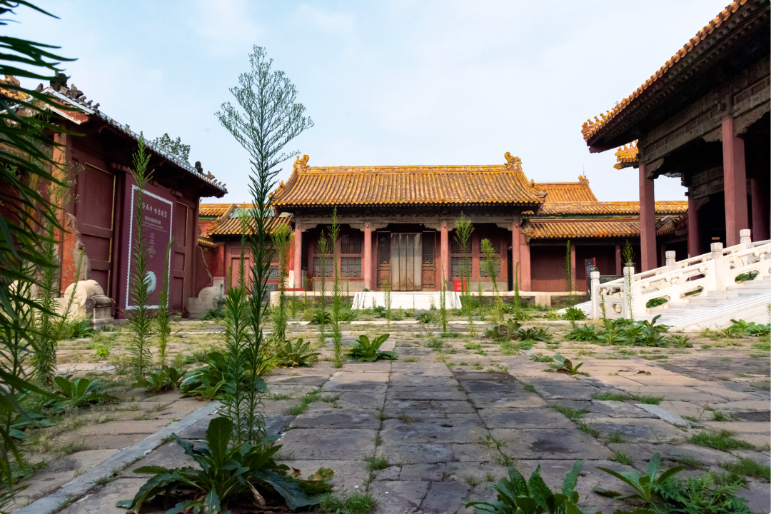 1764660905734056198.png 1764660905734056198.png