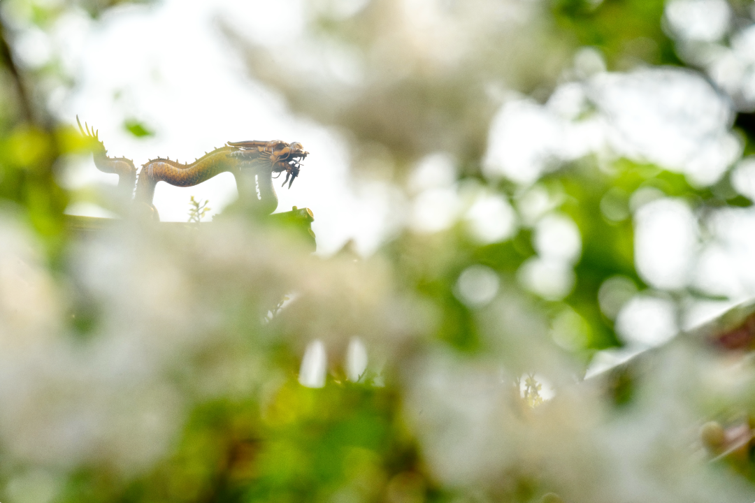 1764661006792057946.png 1764661006792057946.png