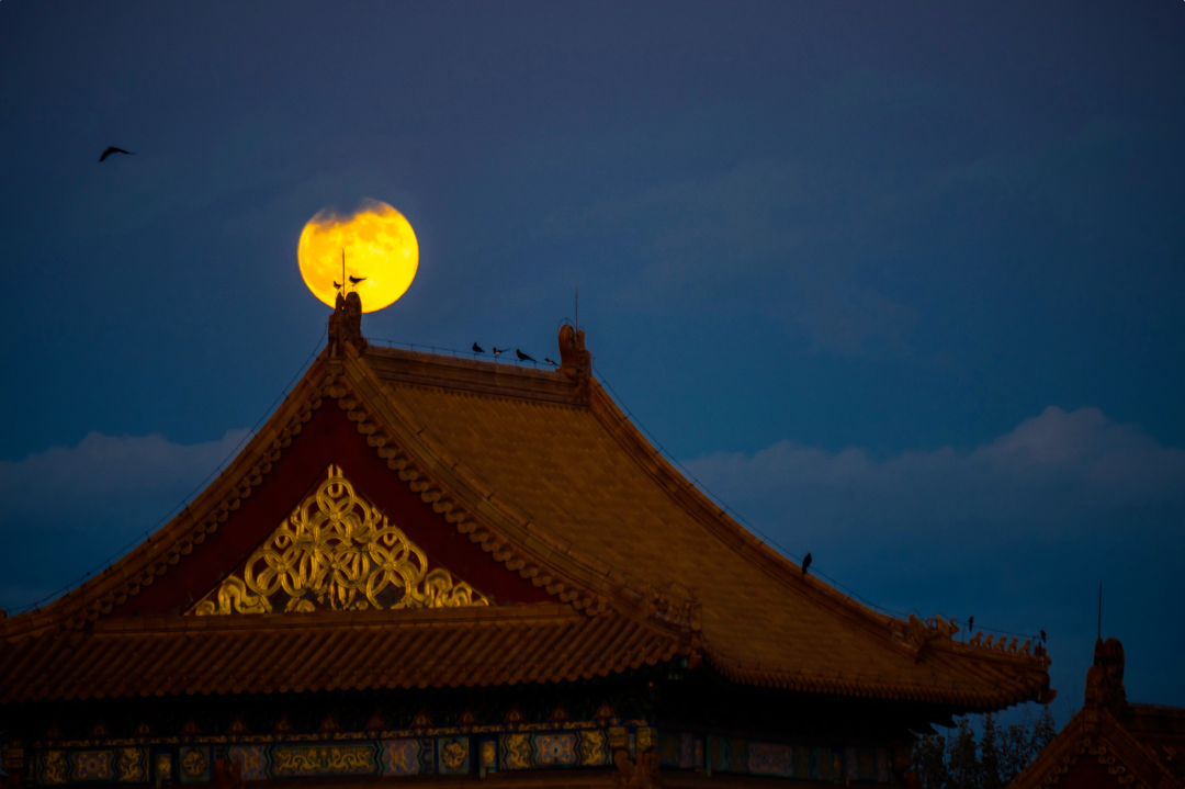 1764661036264037493.png 1764661036264037493.png