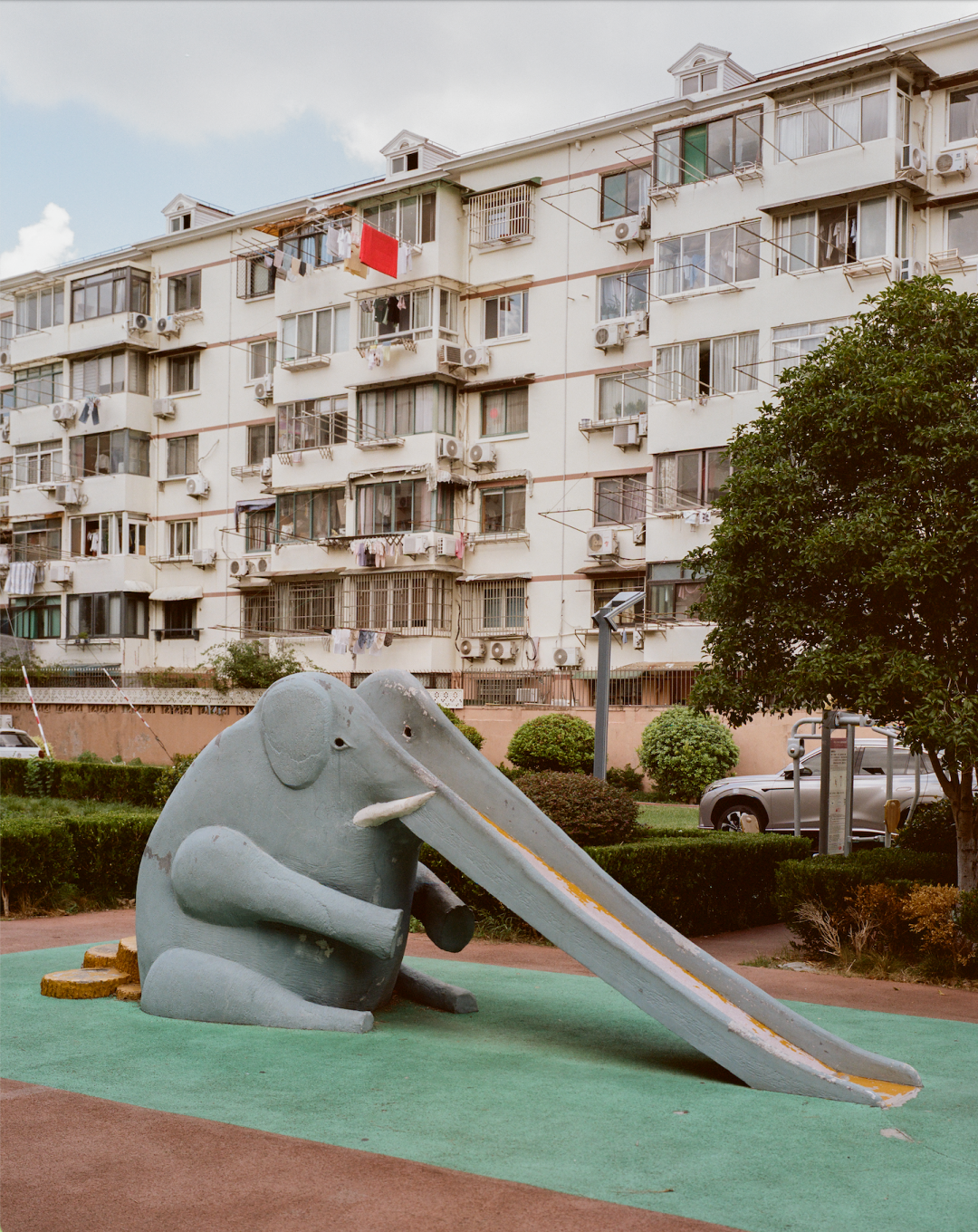 1772690343242049293.png 1772690343242049293.png