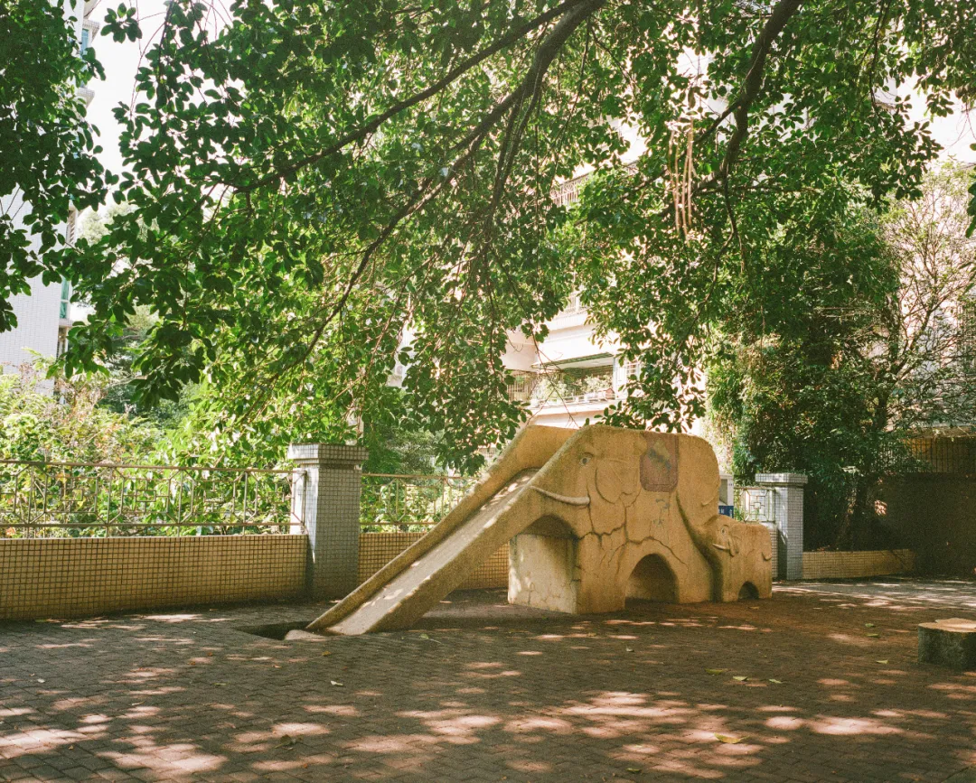 1772690673123044292.jpg 1772690673123044292.jpg