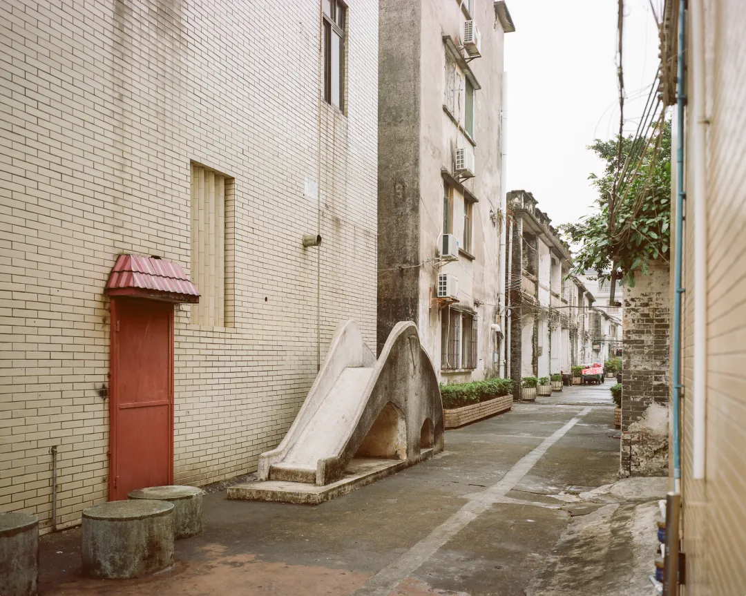 1772690689101049513.jpg 1772690689101049513.jpg