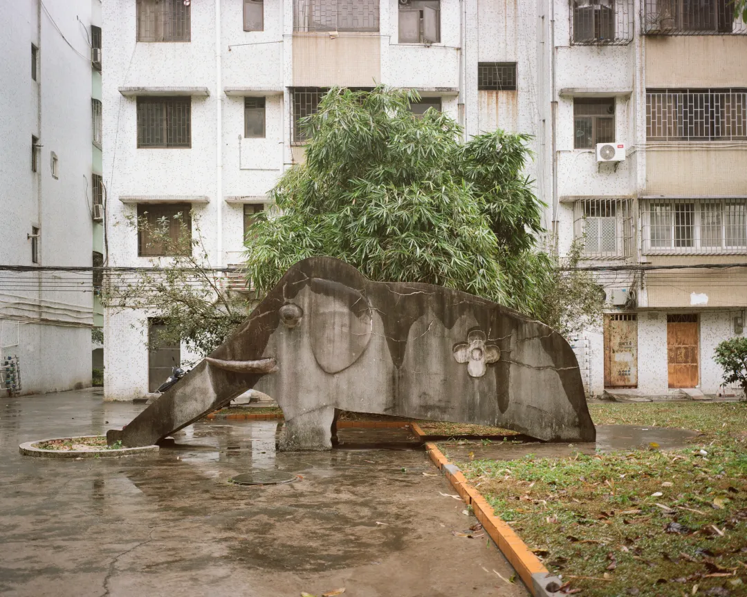 1772692465025075006.jpg 1772692465025075006.jpg