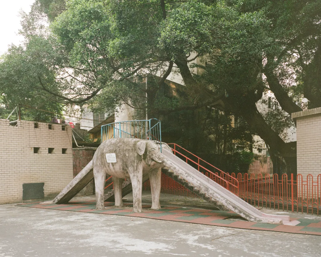 1772692501477070833.jpg 1772692501477070833.jpg