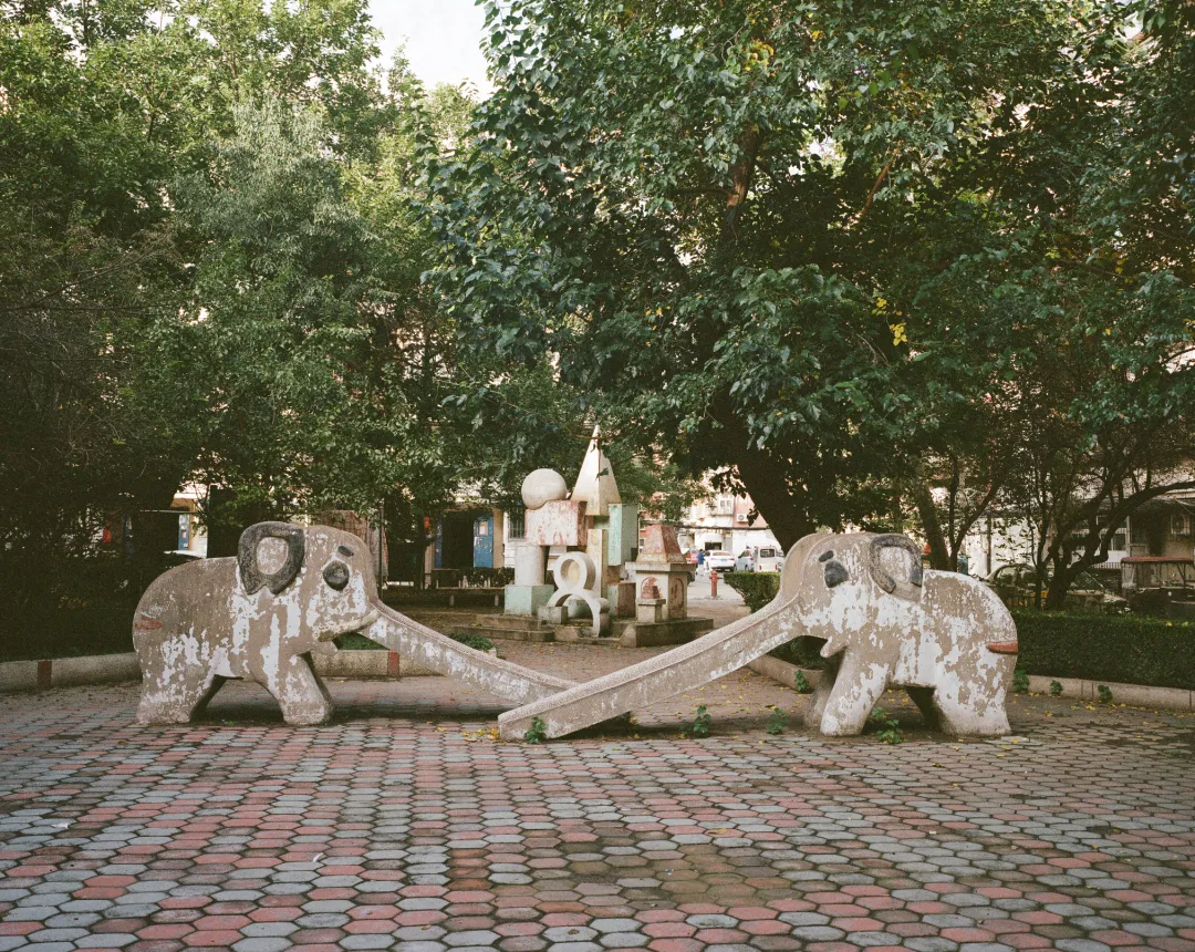 1772692550212012102.jpg 1772692550212012102.jpg