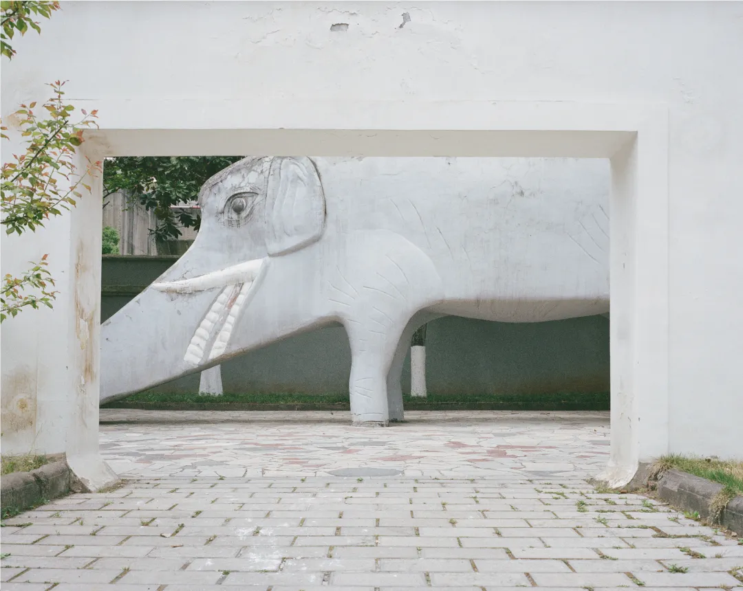 1772692694841083653.jpg 1772692694841083653.jpg