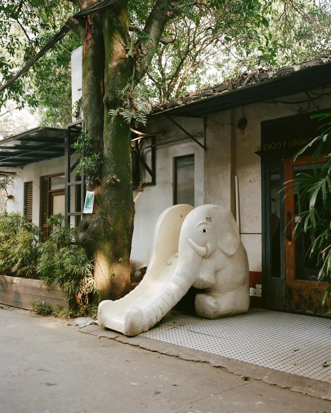 1772692740185045388.jpg 1772692740185045388.jpg