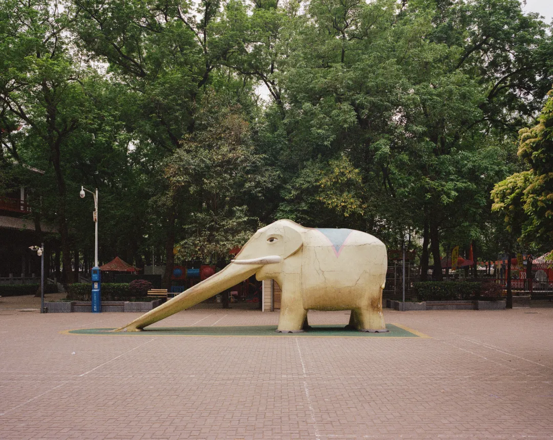 1772692859531042240.jpg 1772692859531042240.jpg