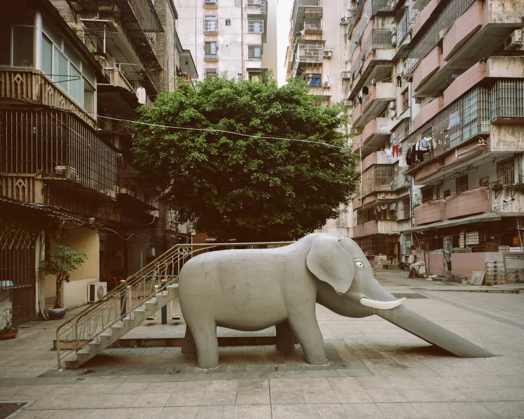 1772692898476094137.jpg 1772692898476094137.jpg