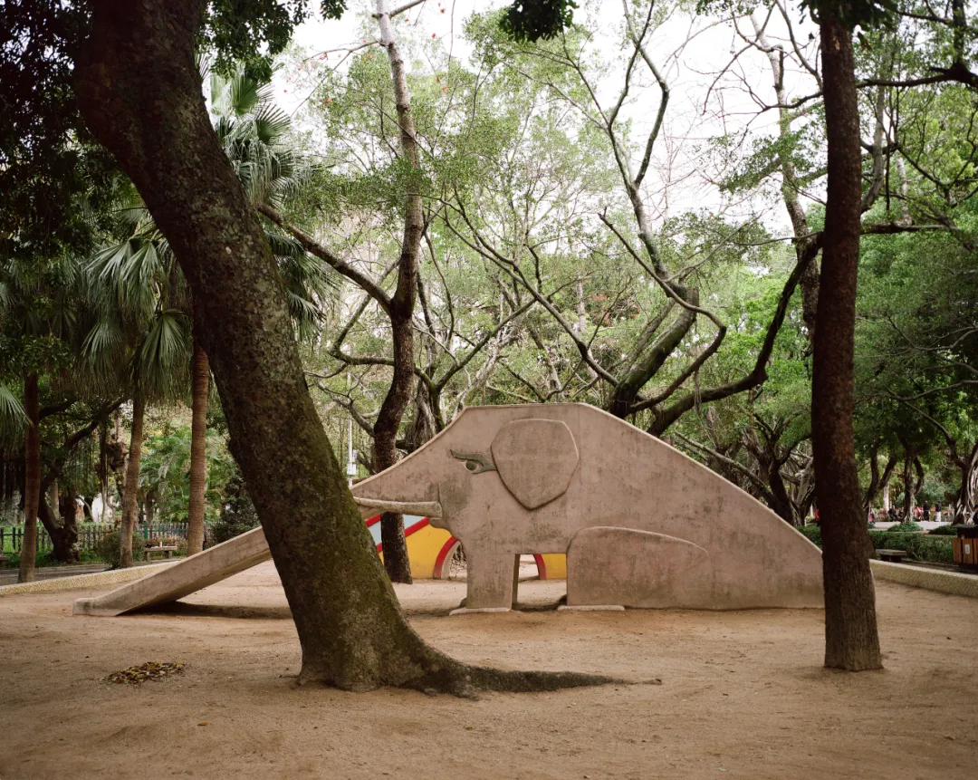 1772692921354013046.jpg 1772692921354013046.jpg