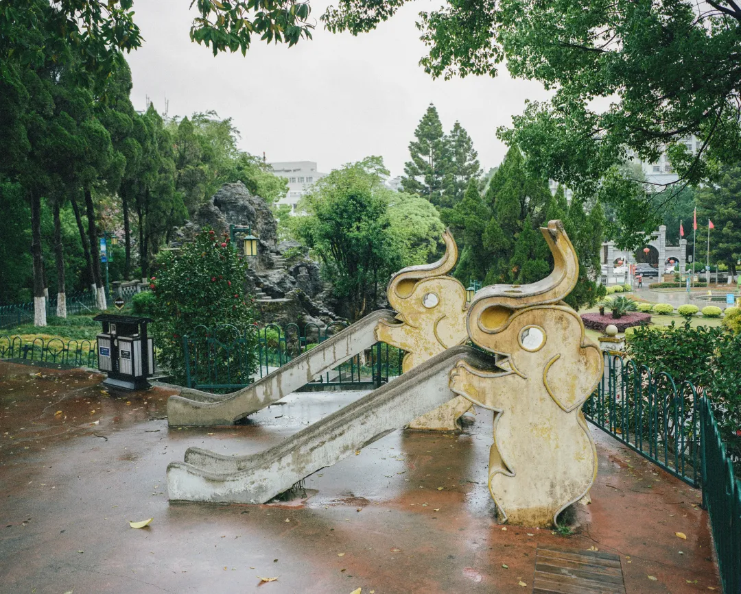 1772693010347219159.jpg 1772693010347219159.jpg