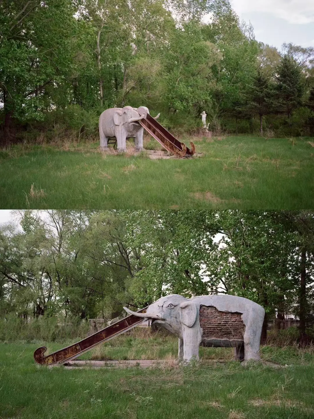 1772693033118003279.jpg 1772693033118003279.jpg