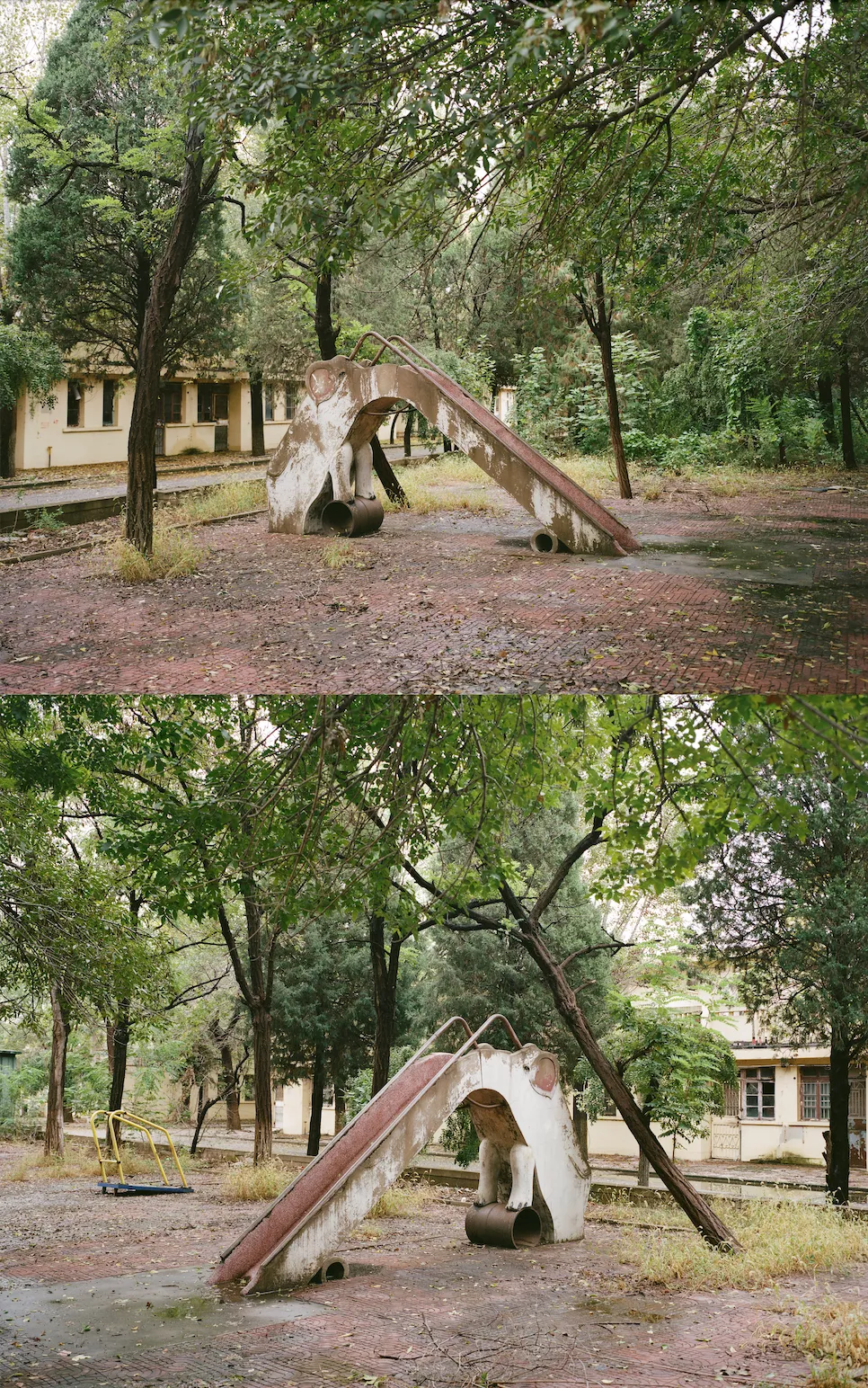 1772693058790060200.jpg 1772693058790060200.jpg