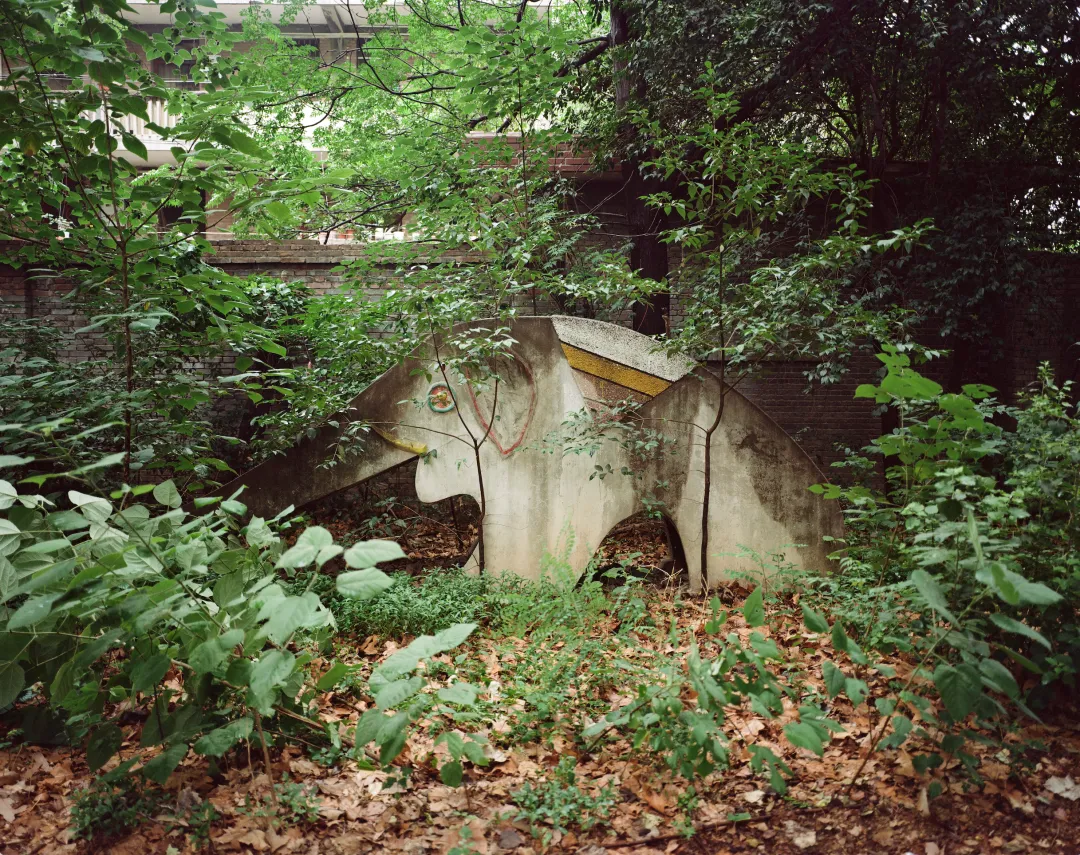 1772693084435070324.jpg 1772693084435070324.jpg