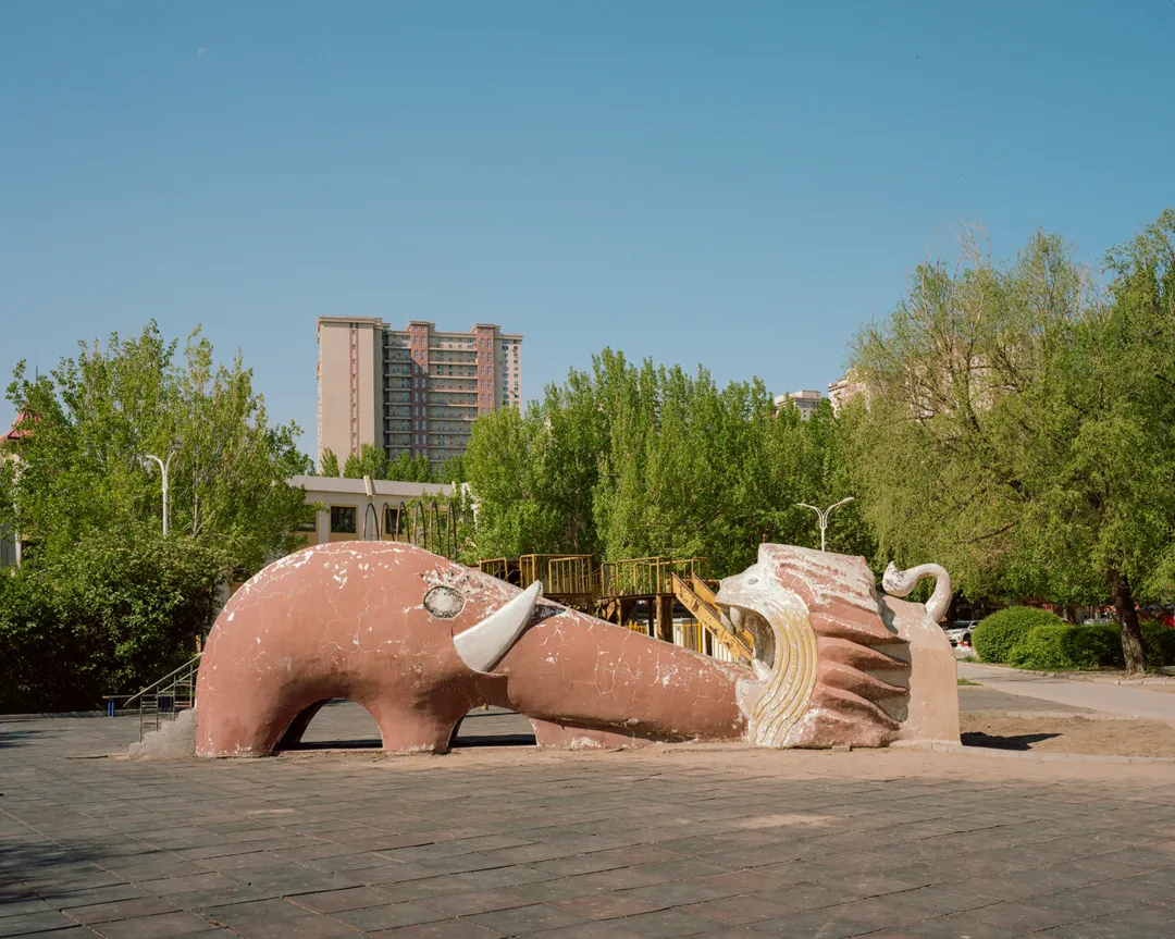 1772693177666072062.jpg 1772693177666072062.jpg