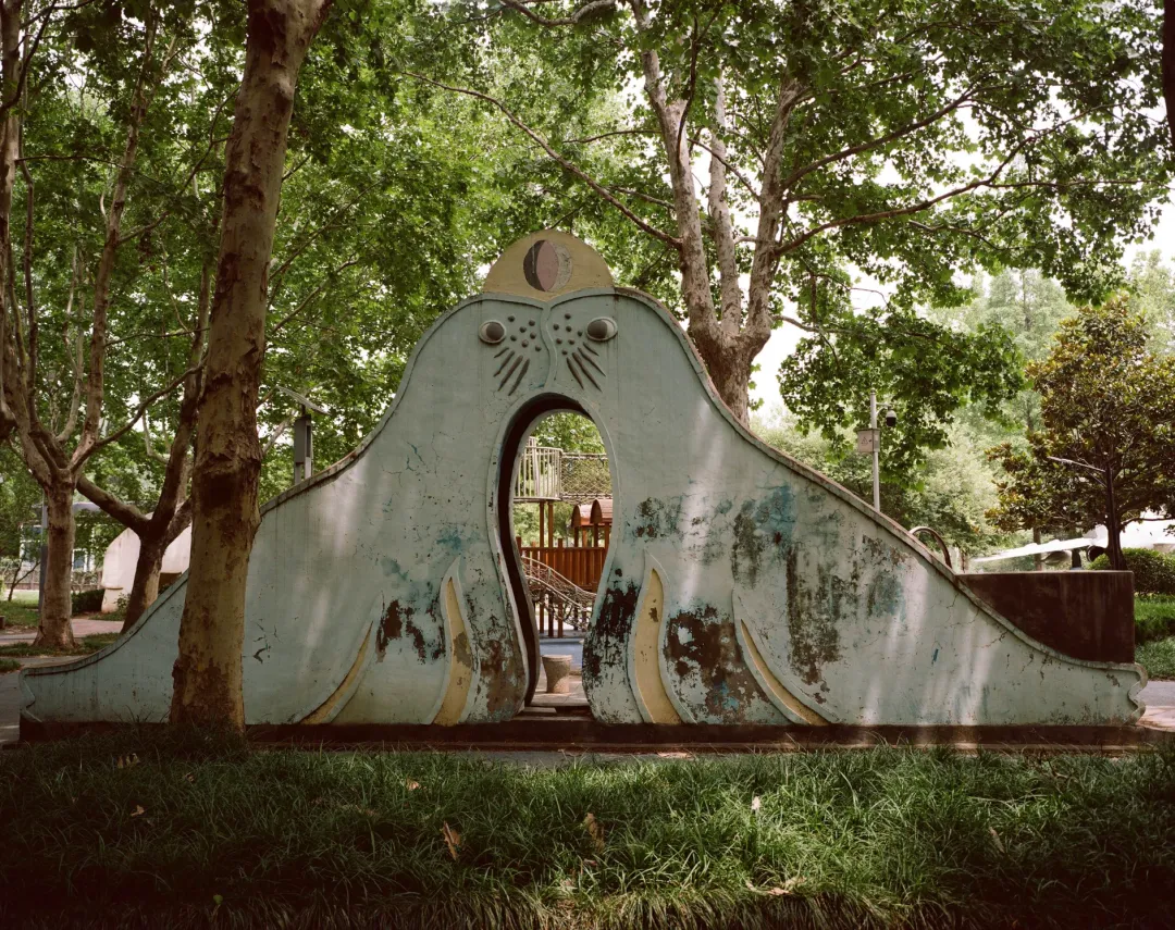 1772693203466000859.jpg 1772693203466000859.jpg