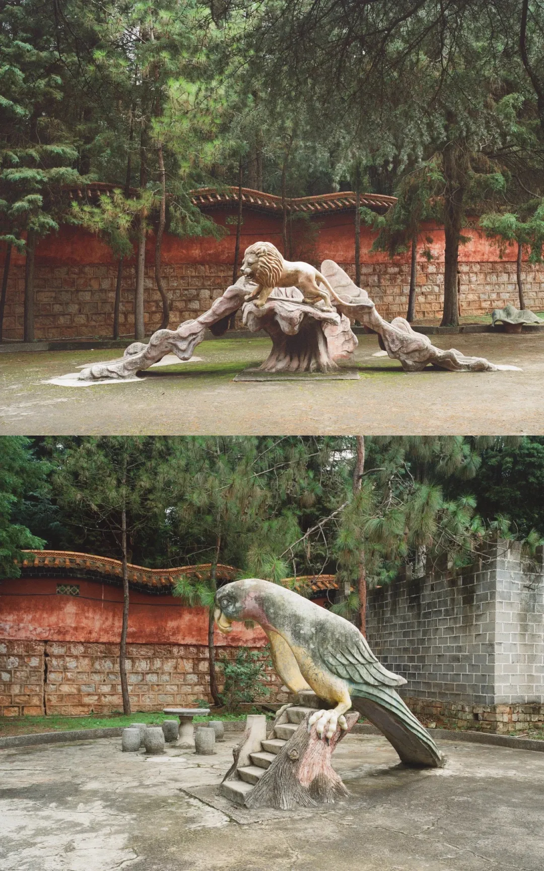 1772693232214015319.jpg 1772693232214015319.jpg