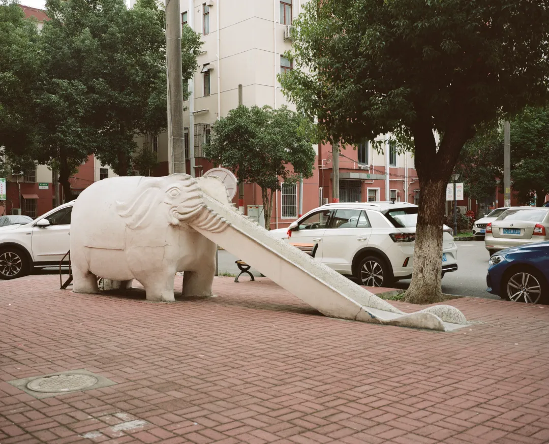 1772693275409086181.jpg 1772693275409086181.jpg