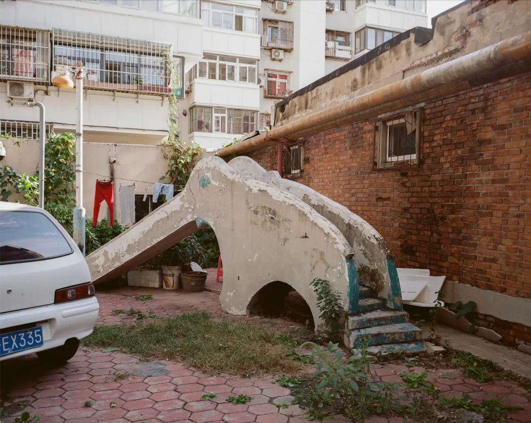 1772693297023058891.jpg 1772693297023058891.jpg