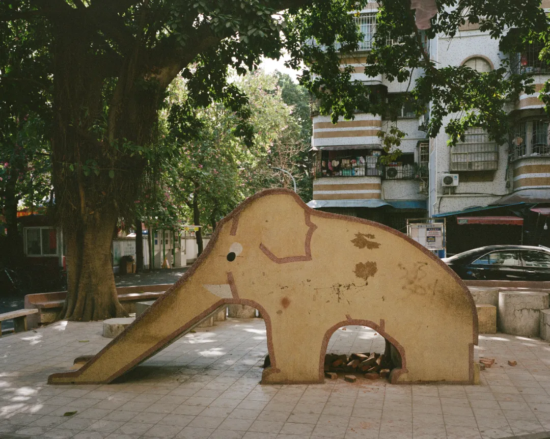 1772693341393004232.jpg 1772693341393004232.jpg