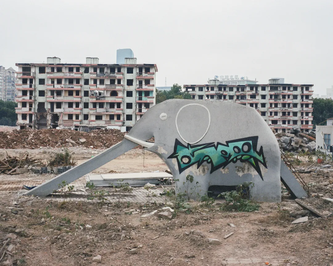 1772693385144033396.jpg 1772693385144033396.jpg