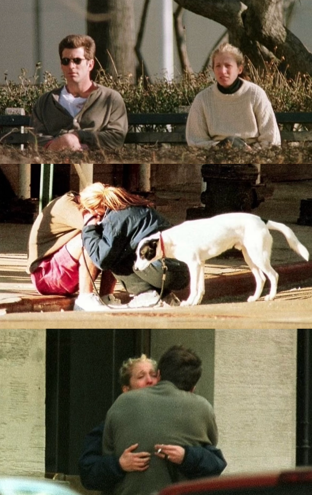 1773651613776040059.png 1773651613776040059.png