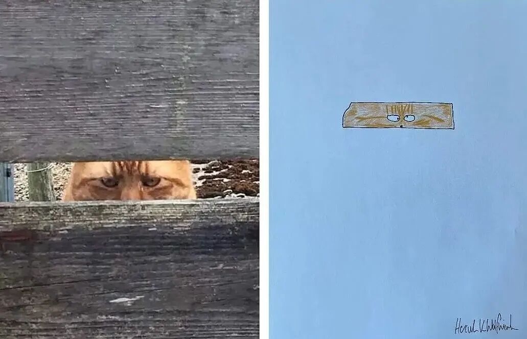 1777524121230033732.jpeg